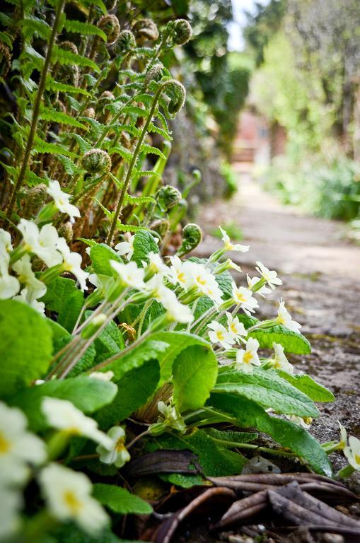 The Longcross Hotel And Gardens Bodmin Eksteriør bilde